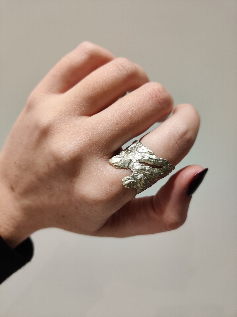 Ring Tundra Zilver